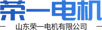 山东荣一电机有限公司